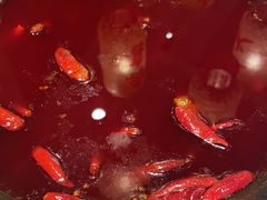 -朱光玉火锅馆(正弘城店)