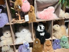 -番茄口袋(上海普陀区环球港店)