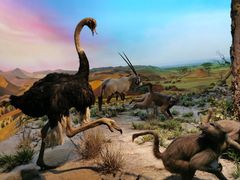 -国家自然博物馆