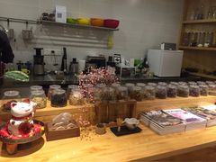 -柴务处·柴犬主题狗咖