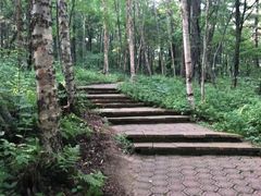 -五营国家森林公园