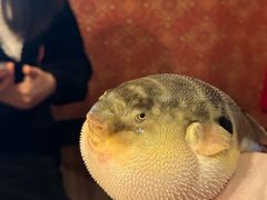 -永安鱼庄·镇江菜(丁卯店)