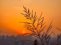 -西南政法大学(渝北校区)