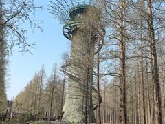 -黄海国家森林公园