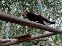 -北京野生动物园