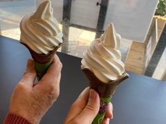 -麦当劳(开萝大道店)