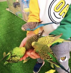 -萌宠亲子动物乐园(槐房万达店)