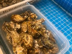-华府九号海鲜烧烤大排档(龙域店)