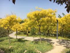 -东郊湿地公园