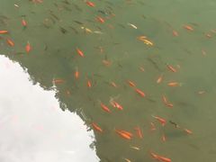 -重庆武隆天生三桥风景区-神鹰天坑