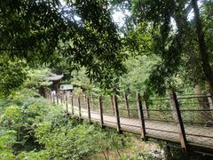 -凤栖山