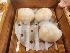 -黄埔华苑酒家(黄埔店)