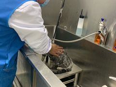 -圣宠动物医院·犬猫专科·影像中心·外科中心