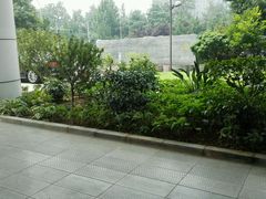 -北京大学口腔医院(魏公村总院)