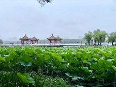 -长春市南湖公园