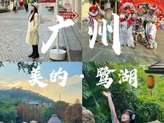-美的鹭湖森林度假区