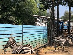 -大连森林动物园