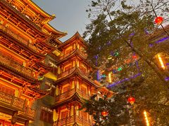 -大佛寺高级素食自助餐厅