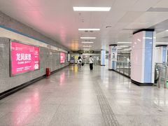 -陆家浜路(地铁站)