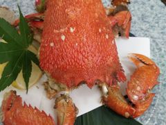 -鲔吞日料(溧阳万达广场店)