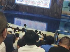 -华夏文旅海洋公园