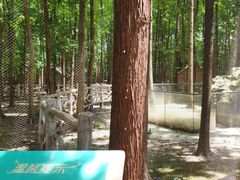 -昆山城市生态森林公园