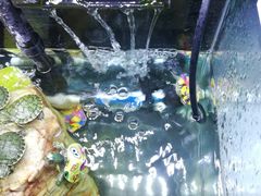 -龙达温泉生态城