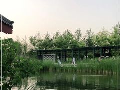 -西海子公园