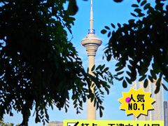 -天津水上公园