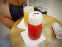 -飞行喵MR PILOT|猫舍·猫咖(静安大融城店)