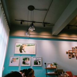 -菲林婚纱摄影工作室