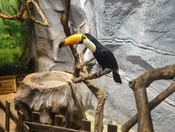 -Zoolung Zoolung动物主题公园(海信广场店)