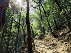 -西湖风景区十里琅珰-五云山