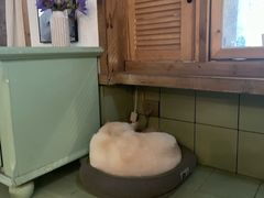-乌糖沙茶面(民族路店)
