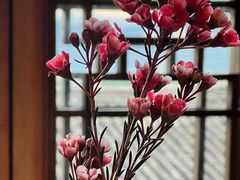 -丽江松赞酒店-餐厅