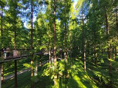 -黄海国家森林公园