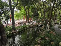 -成都市活水公园