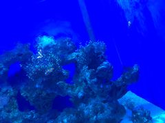 -常州海昌海洋探索馆