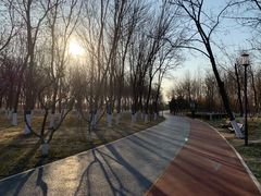 -大兴滨河森林公园