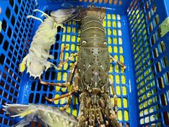 -班赞海鲜市场