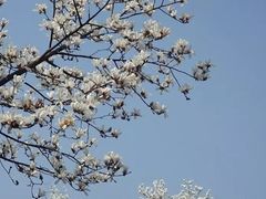 -随柳居·苏式小吃(建新巷店)