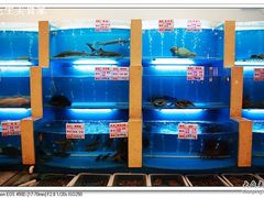 海鲜池-品湘楼(方庄店)