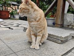 -福州开元寺