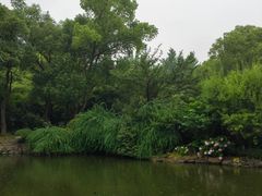 -汇龙潭