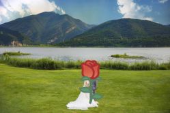 -CD视觉婚纱摄影