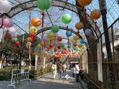 -运河游船(武林门码头)