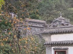 -老张烤羊(王哥庄店)