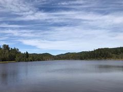 -五营红松林海景区