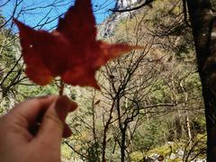 -青峰峡国家森林公园