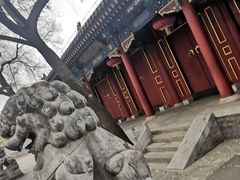 -北京第二实验小学